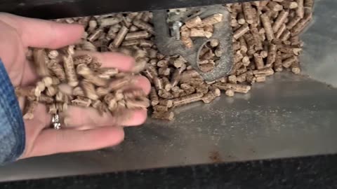 Clean The Pellet Stove with Me Part 1