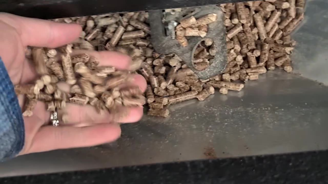 Clean The Pellet Stove with Me Part 1