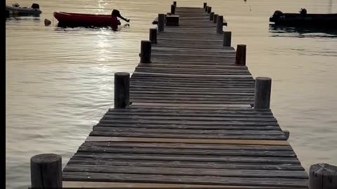 Daily Horoscope | Leo 🌟