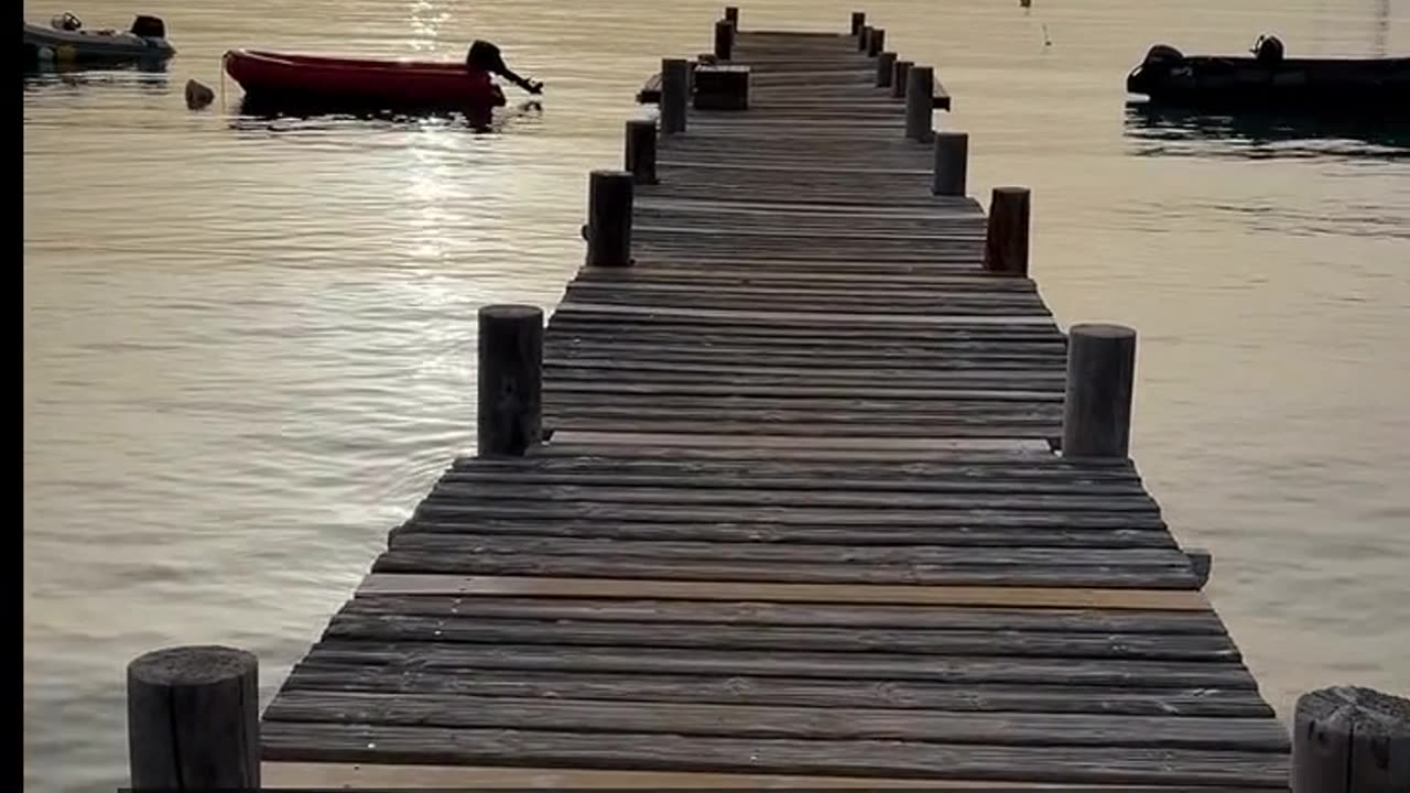 Daily Horoscope | Leo 🌟