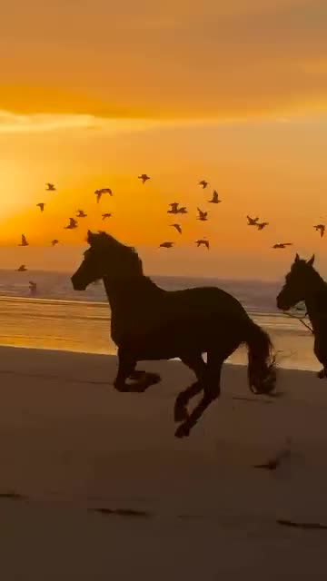 In today’s world it is not only knowledge but also ideas and talents that compete