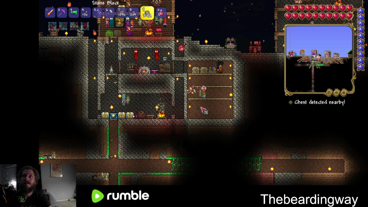 Playing Terraria hardmode with my boi