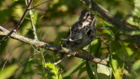 Photo Recap September 25 1080P