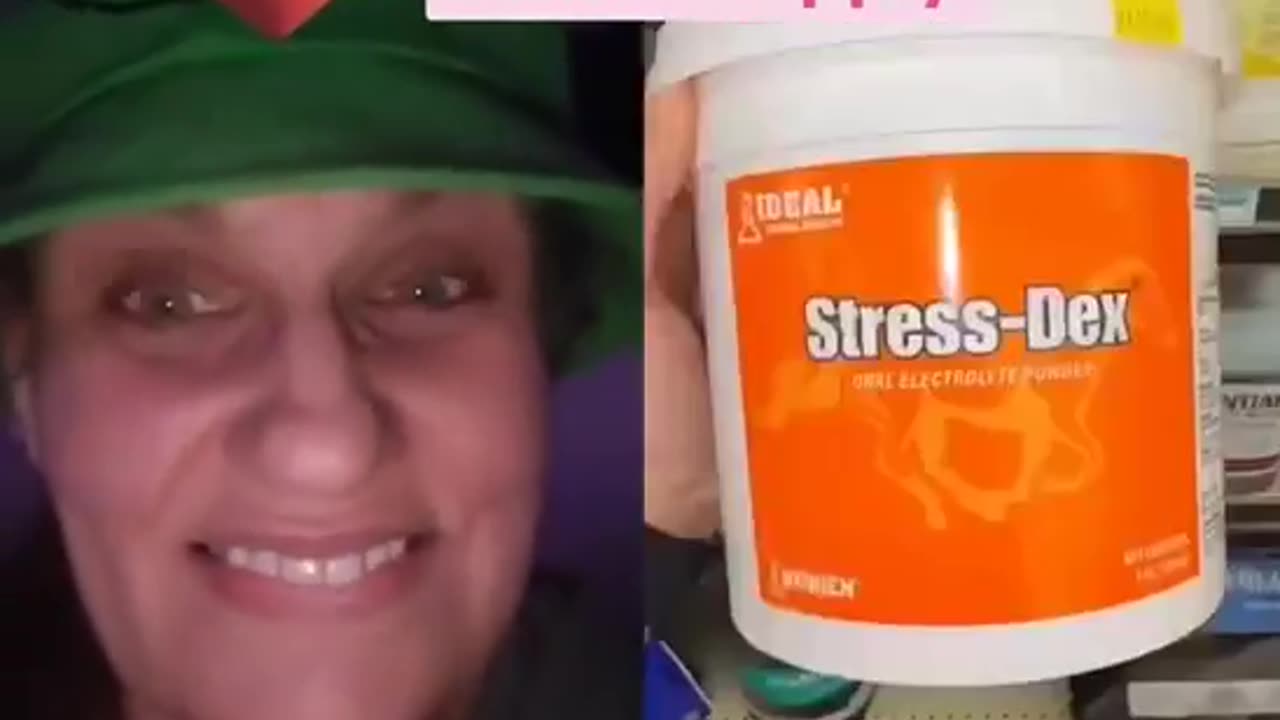 When it comes to animals, we can be honest