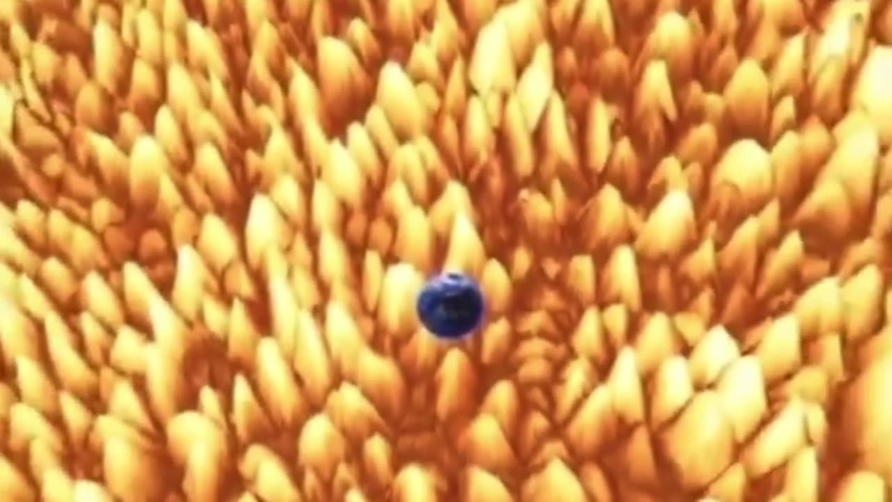 🌠🌟 Earth vs the Largest Known Star in the Universe | FeedMyCuriosity
