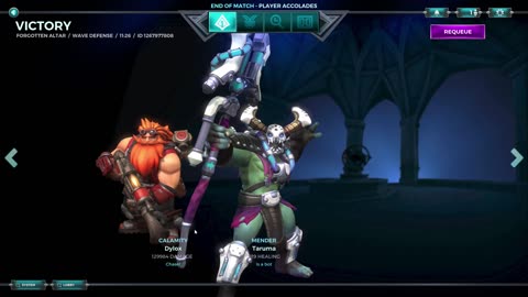 Paladins Game - Just two of us, Barik and Grohk