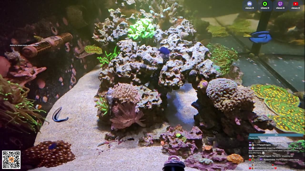 24/7 Real Live Reef Stream