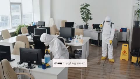 Insekt Trøbbel Løsninger Fra Eksperter Over Hele Norge