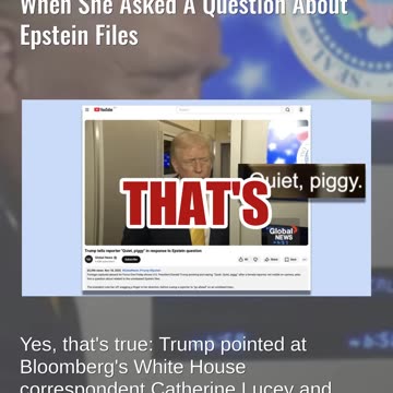 Fact Check: President Trump DID Tell Female Reporter 'Quiet, Piggy' When Asked About Epstein Files