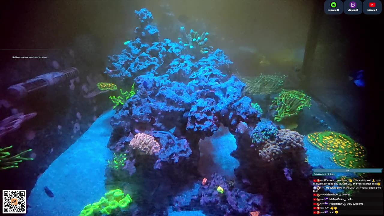 24/7 Real Live Reef Stream