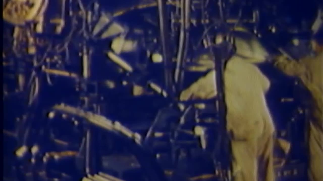 HUMAN BRIDGE, THE - HUMAN BRIDGE, THE - fc-fc-4959