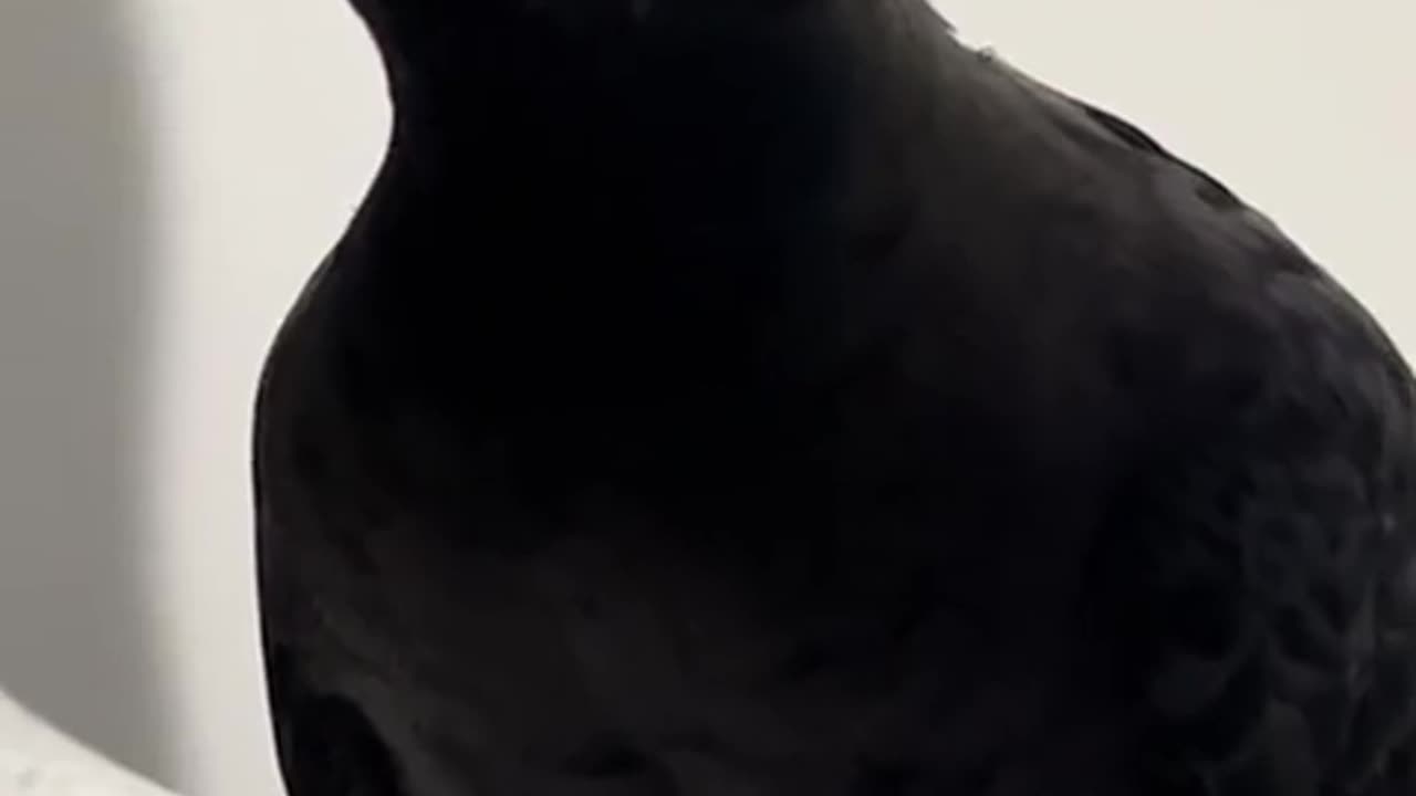 🤯💡 You Won't Believe What Happens Next! | FunFM