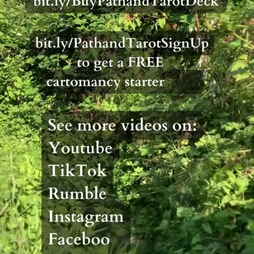 Natural Order | Path and Tarot Reading