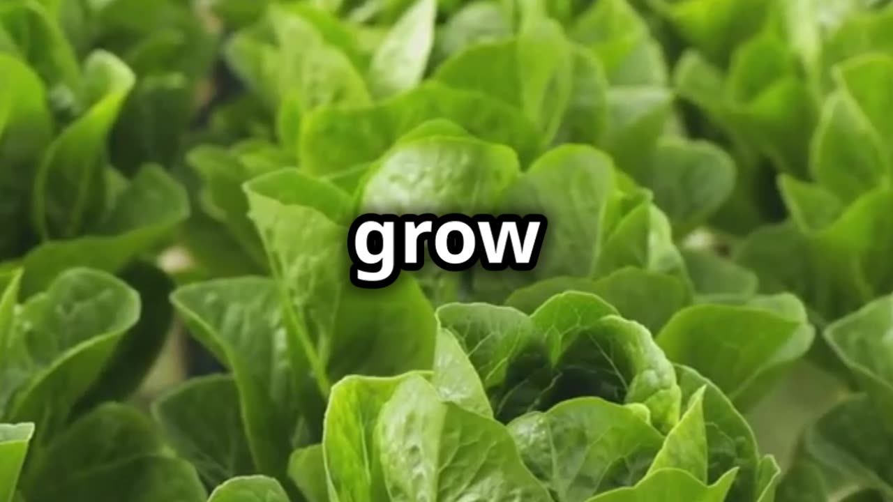 Grow Your Food Anywhere with Aquaponics in 60 Seconds