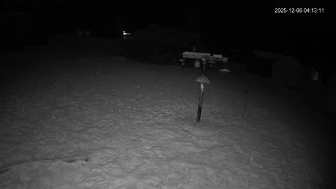 Bird Feeder in Western Maryland USA