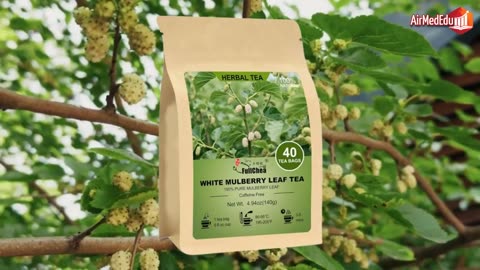 Efecto del Té de Morera blanca en el organismo