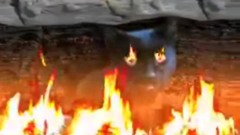 Cats bring you dead prey because they see you as a clumsy kitten needing feeding lessons.