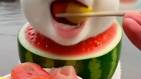 baby sheep AI eating video