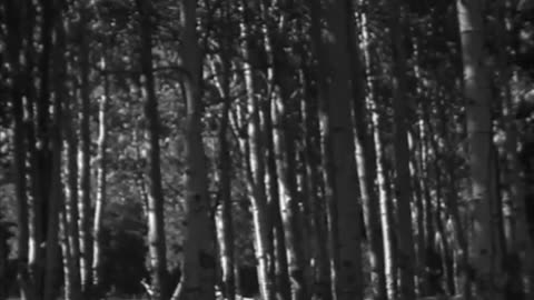 FAIRY FANTASIES IN STONE-BRYCE NATION... - FAIRY FANTASIES IN STONE-BRYCE NATIONAL PARK - fc-fc-4720