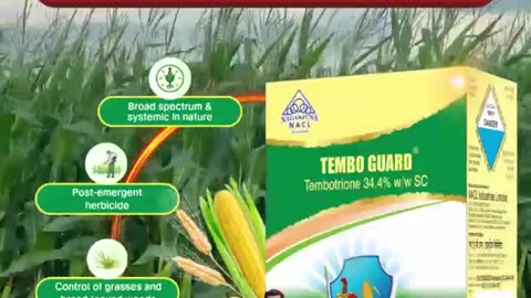 Insecticide Company in India | NACL Industries Ltd