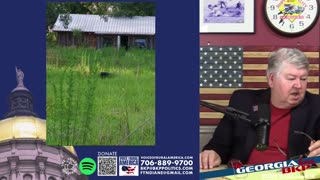 The Georgia Hour - REPLAY - October 10, 2025