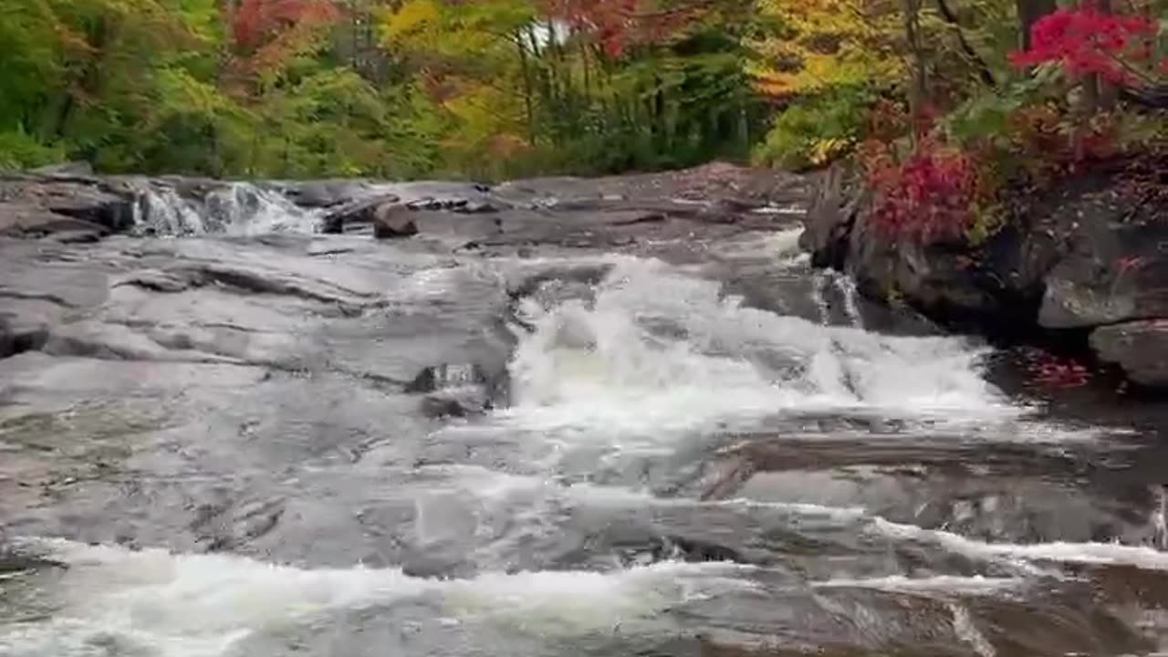 Forest stream ✌️🏔️😍