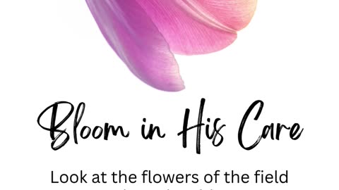 Bloom in His Care