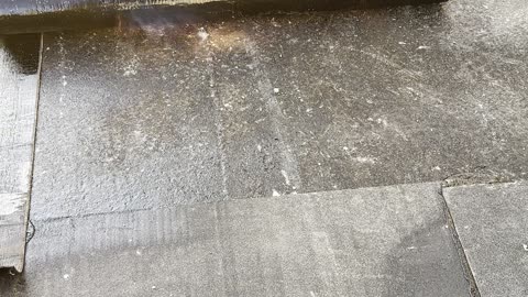 easy bitumen roof repair with fire 🔥