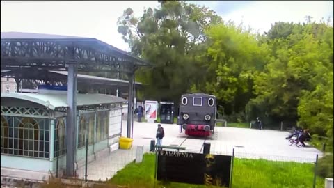 Wielkie drzewo runęło wprost na ludzi