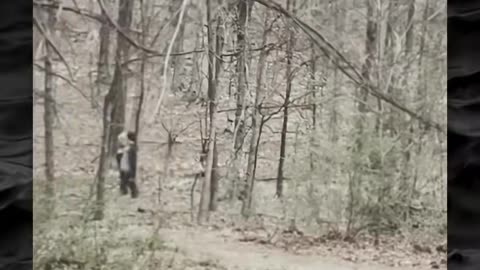 😱👻 The Scariest Paranormal Encounters! | TheHauntingHour