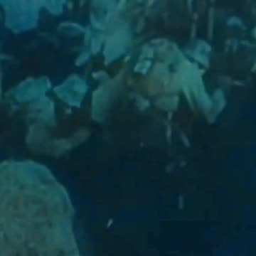 61 ⚔️ In gaming, if the enemy is retreating, then strike while they’re vulnerable