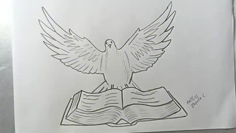 How to Draw the Bible with a Dove