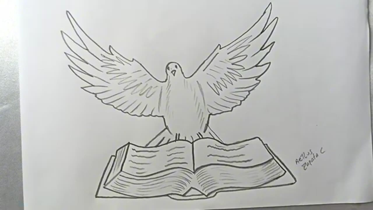 How to Draw the Bible with a Dove