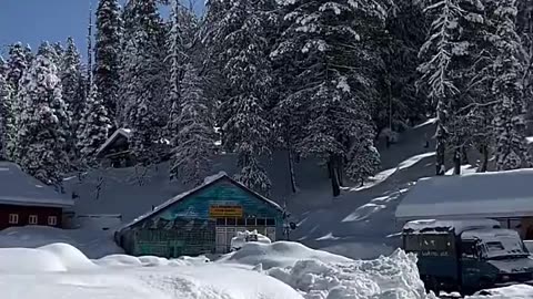 Short Video