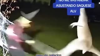 Rothschild BlackRock WEF Power...