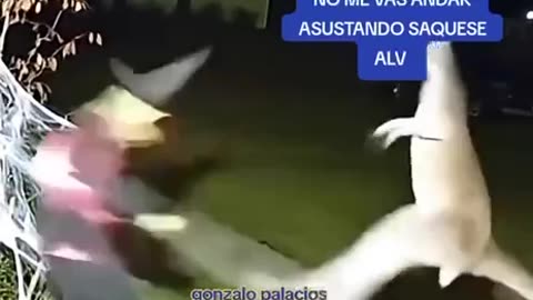 Rothschild BlackRock WEF Power...