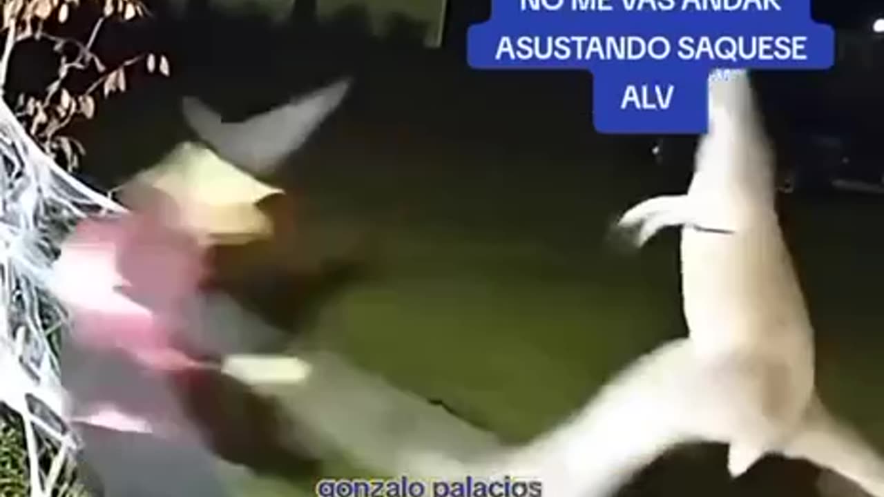 Rothschild BlackRock WEF Power...