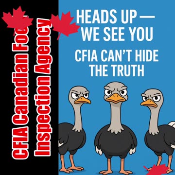 🦤 Save The Ostriches 🌎 The world is watching.