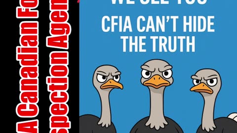 🦤 Save The Ostriches 🌎 The world is watching.