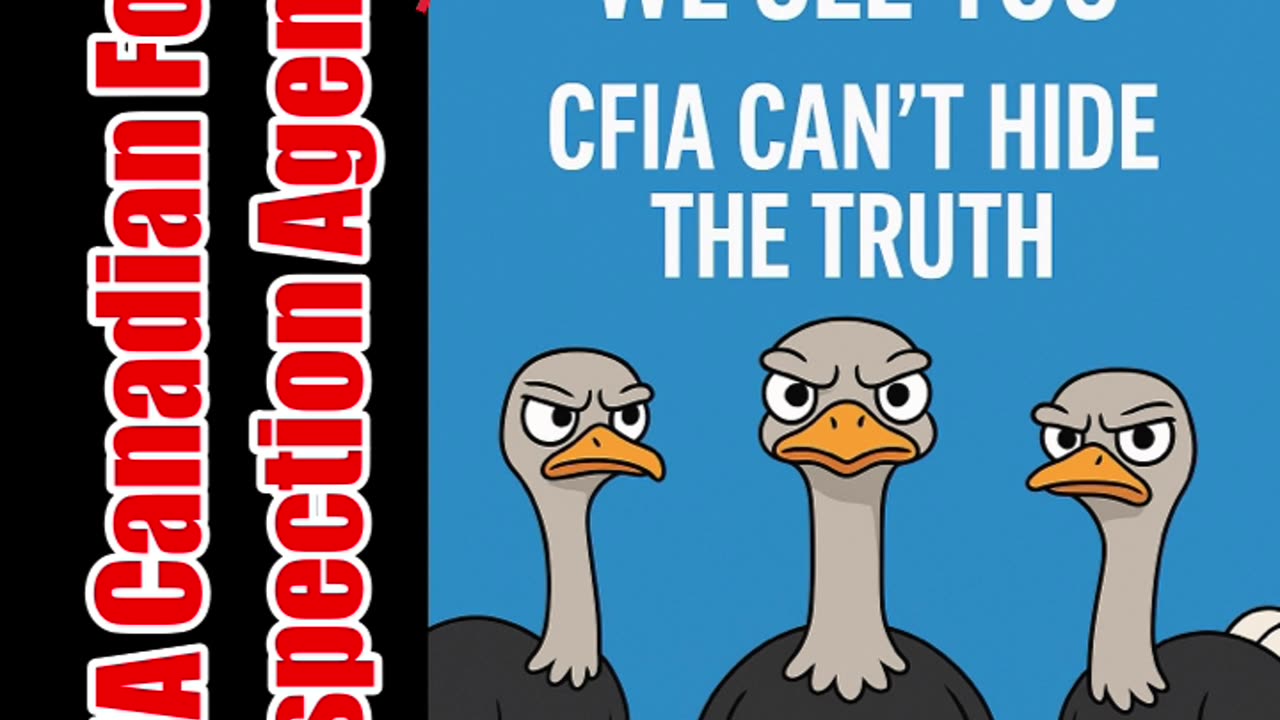 🦤 Save The Ostriches 🌎 The world is watching.