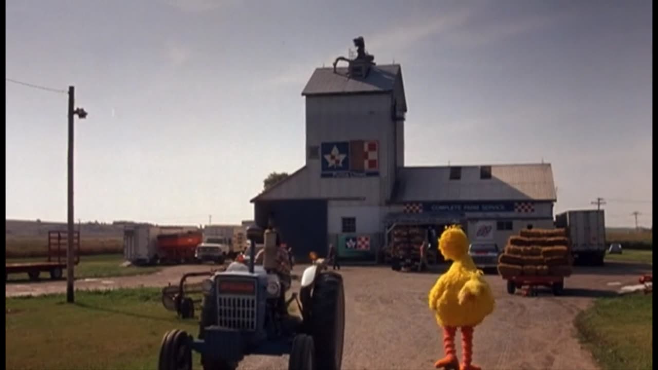 Follow That Bird