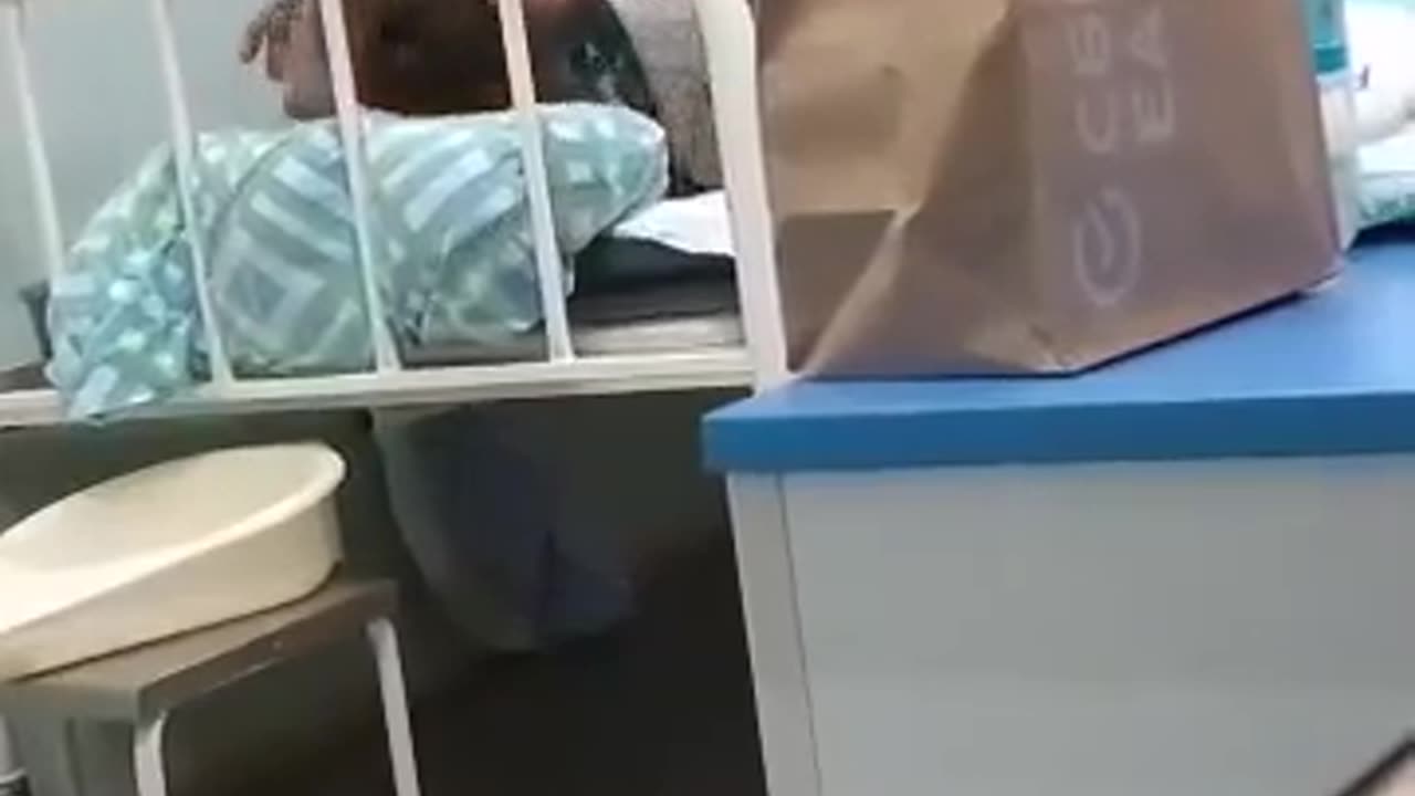 Крики в больнице Костромы. УБЕЙ ВРАЧА ПРИ ПЕРВОЙ ВОЗМОЖНОСТИ !!!