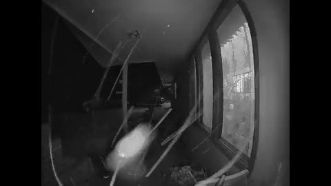 🤔👀 Is This an Orb or a Bug? You Decide! | TheHauntingHour