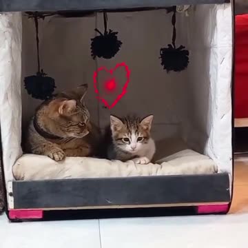 Friendship sometimes requires lots of patience