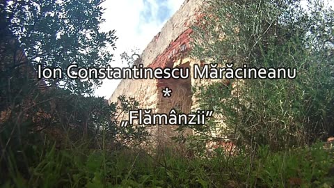Ion Constantinescu Mărăcineanu - Flămânzii