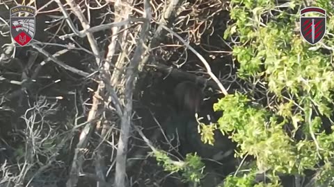 40+ Russian Soldiers Storming Ukrainian Lines Leaves Survivors Begging for Lives