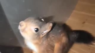 🤯🎮 Sonic's Retro Gameplay is INSANE! | FunFM