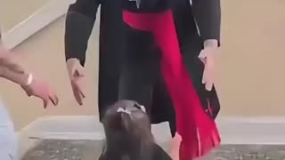 KIDS VISIT TO THE CHURCH OF SATAN. Just a normal day in a US kindergarten