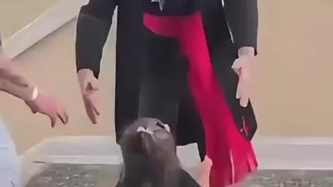 KIDS VISIT TO THE CHURCH OF SATAN. Just a normal day in a US kindergarten