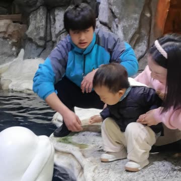 Dolphin kisses baby, funny moment video skc.com 44